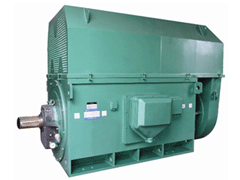 黑河Y系列6KV高压电机